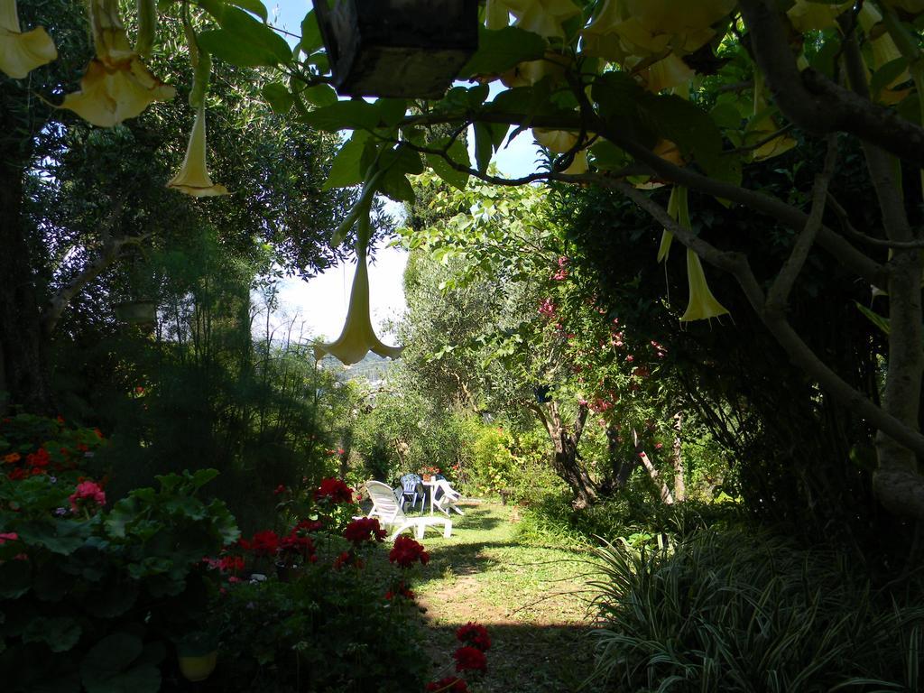 Villa Efterpi Κοντόκαλι Εξωτερικό φωτογραφία