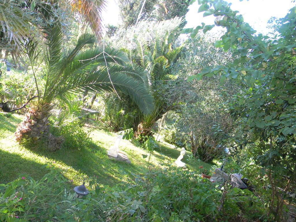 Villa Efterpi Κοντόκαλι Εξωτερικό φωτογραφία