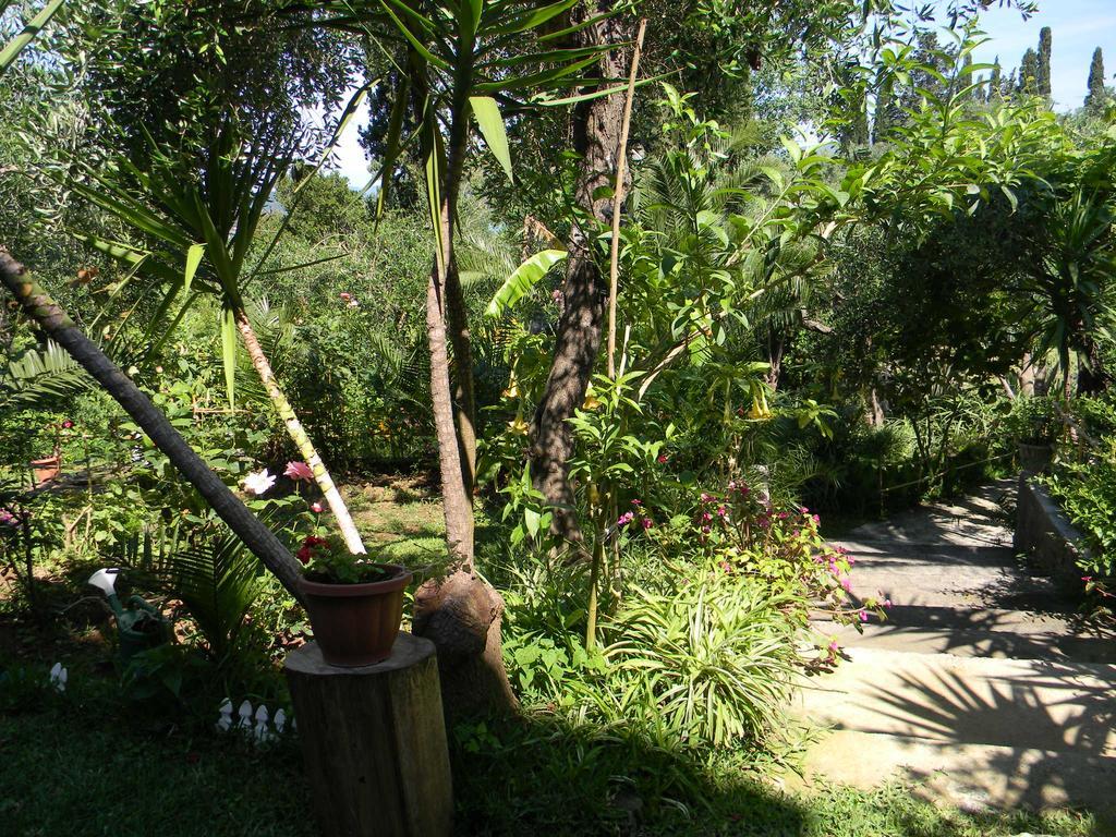 Villa Efterpi Κοντόκαλι Εξωτερικό φωτογραφία